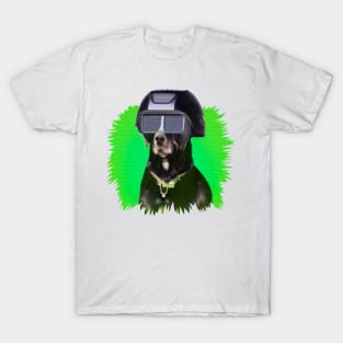 Black dog in helmet T-Shirt